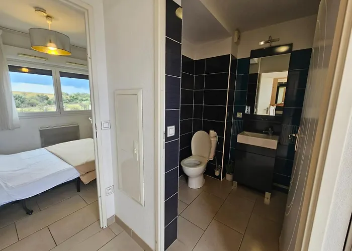 Διαμέρισμα 315 Cosy Περπινιάν